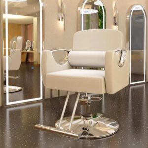 Salon Chair