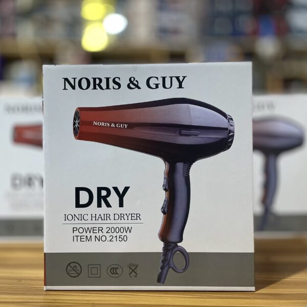Noris & Guy Hair dryer