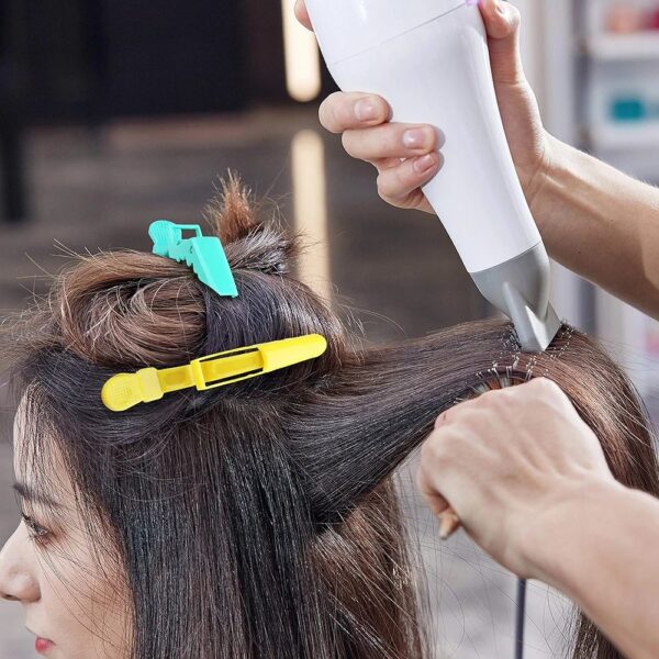 Hair Clips - Image 2