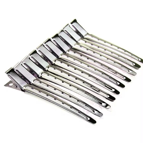 Hair Control Clips